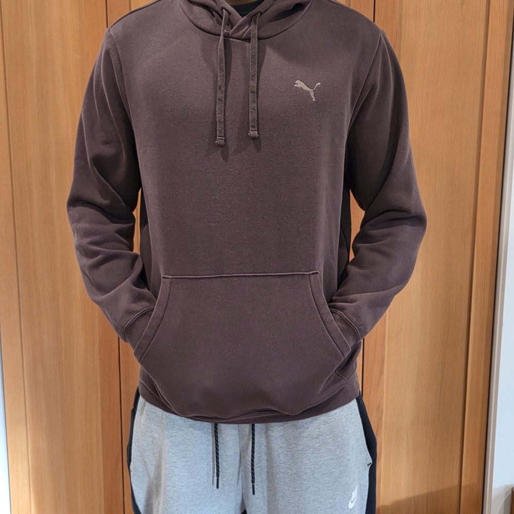 Puma Men's Brown Hoodie